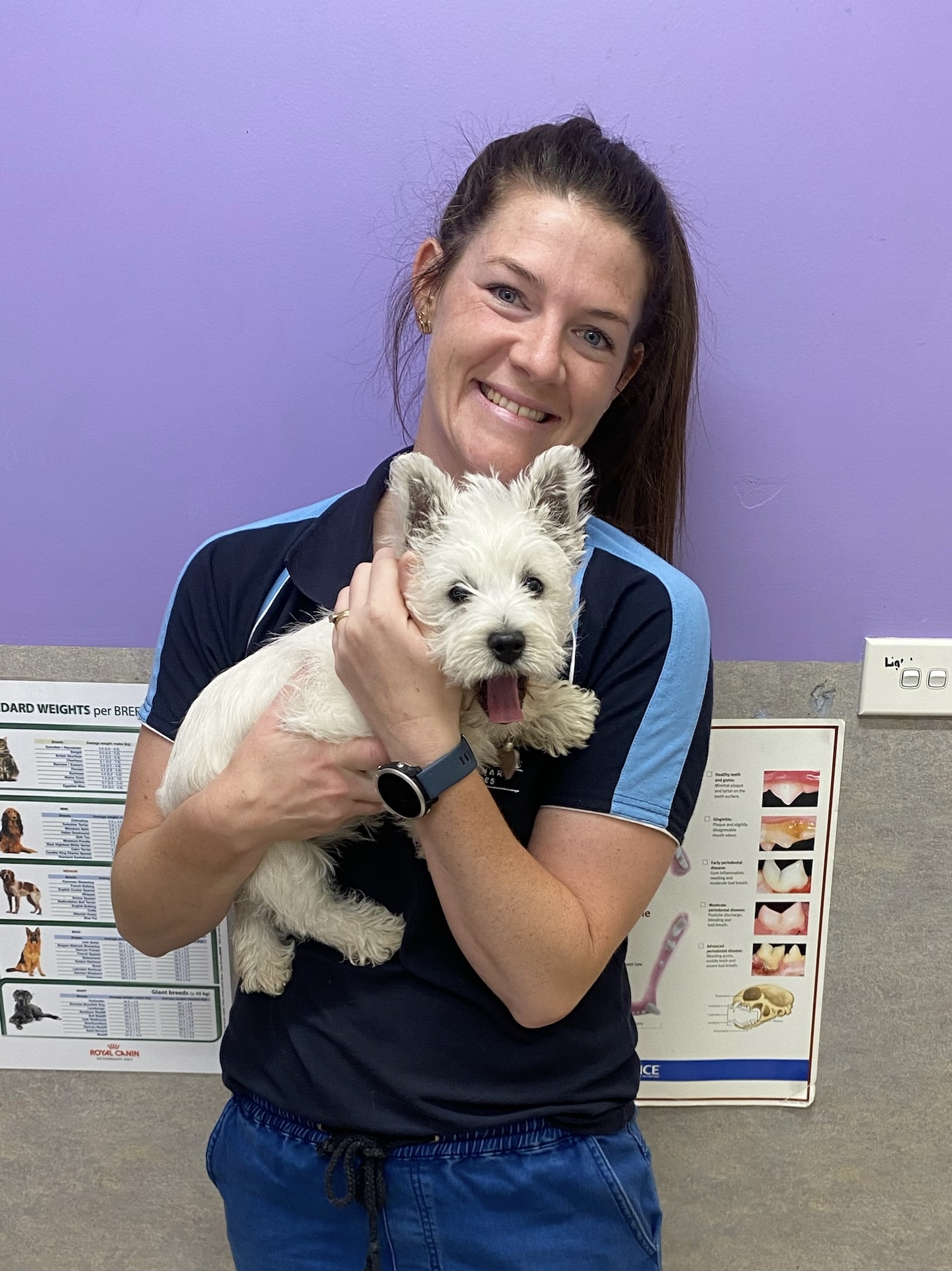 Longford & Northern Midlands Veterinary Services